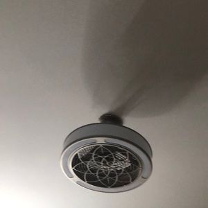 Meet your Posher, Elise